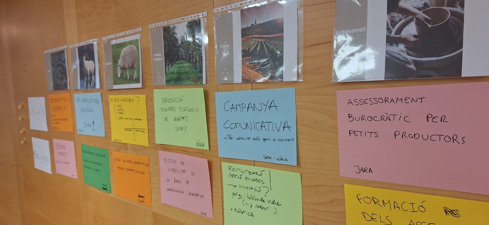 L’Aliança defineix projectes concrets per impulsar la transició del sector agrari